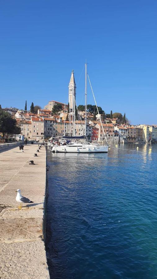 Rovinj City Apartment Eksteriør billede